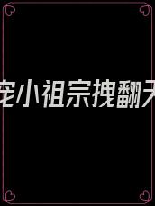 重生团宠小祖宗拽翻天 小说